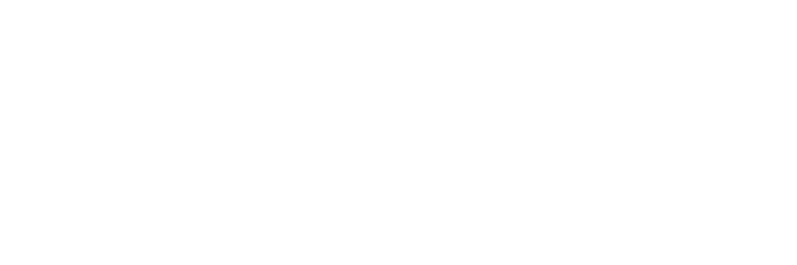 Ingenico